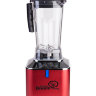 Блендер RawMID Dream Luxury 2 BDL-09